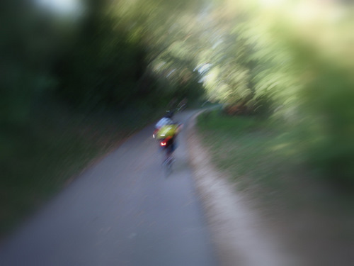 an accidentally blurred picture that looks interesting.